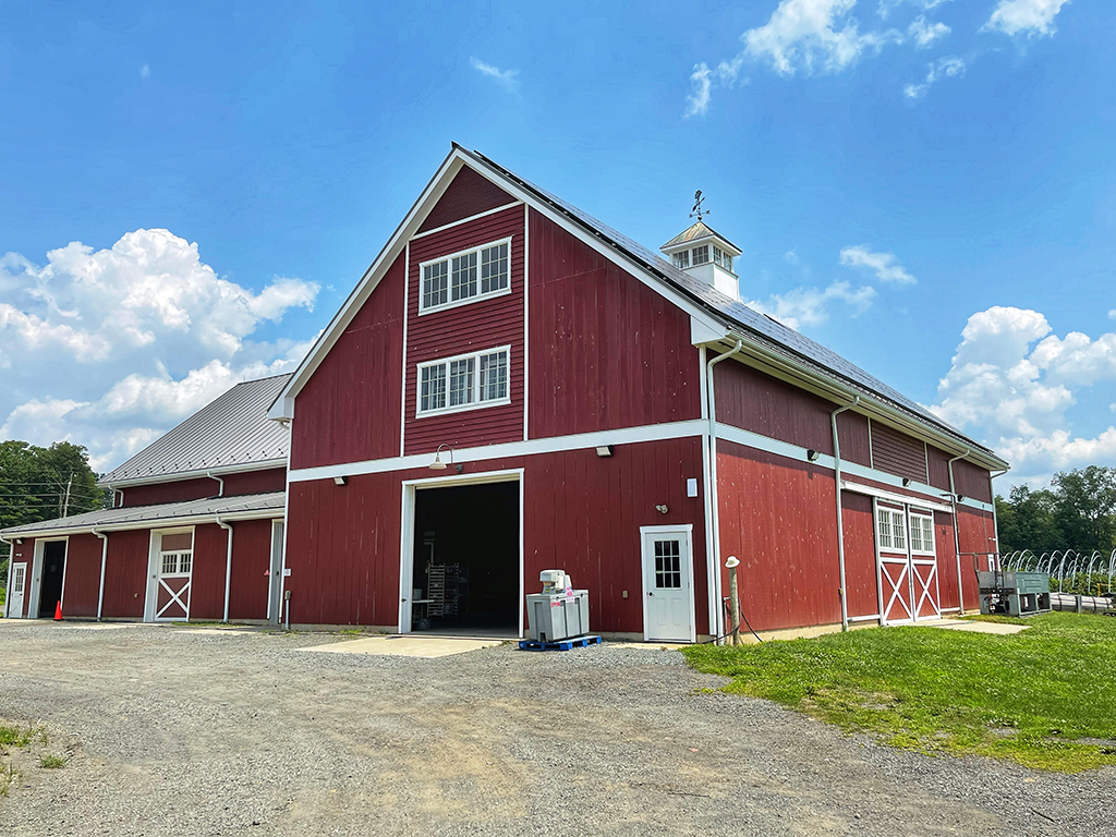 Why Are Barns Painted Red